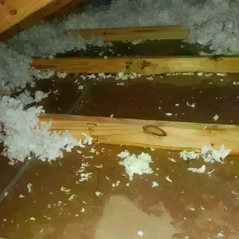 Attic Water Damage in Pleasanton, CA