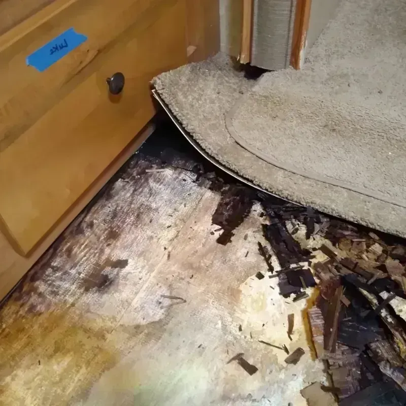 Wood Floor Water Damage in Pleasanton, CA